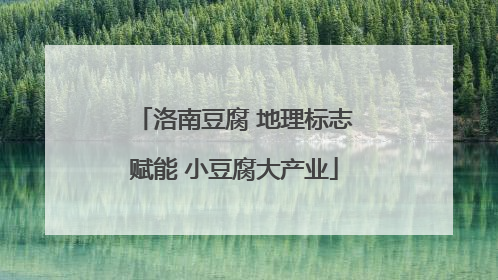 洛南豆腐 地理标志赋能 小豆腐大产业